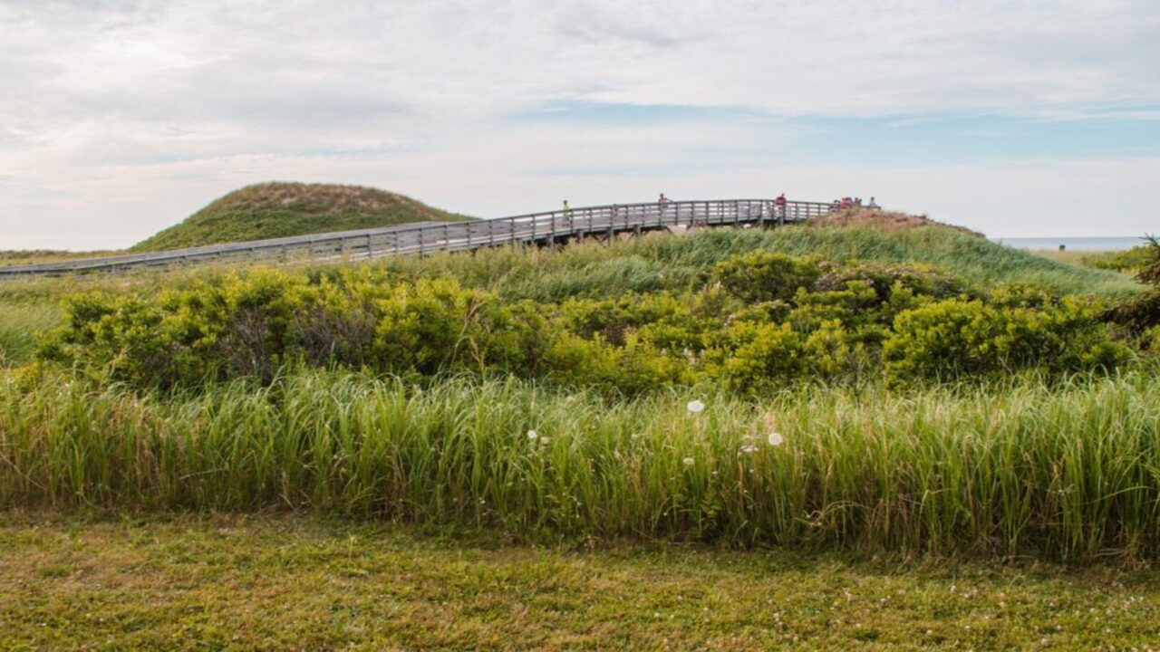 Alcohol Abuse and Addiction Treatment: Understanding the Journey to Recovery