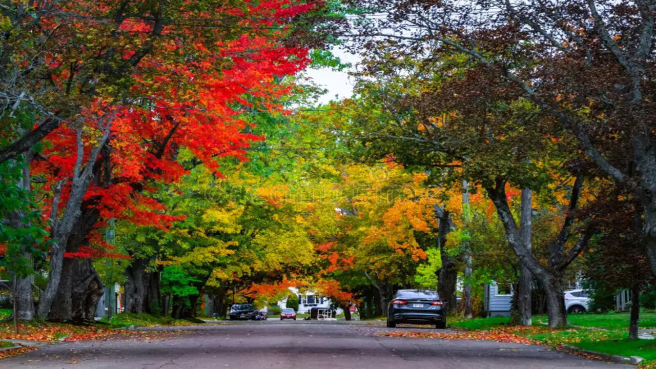 Is It Possible to Be Helped from a Professional Intervention? Understanding Prescription Drug Interventions