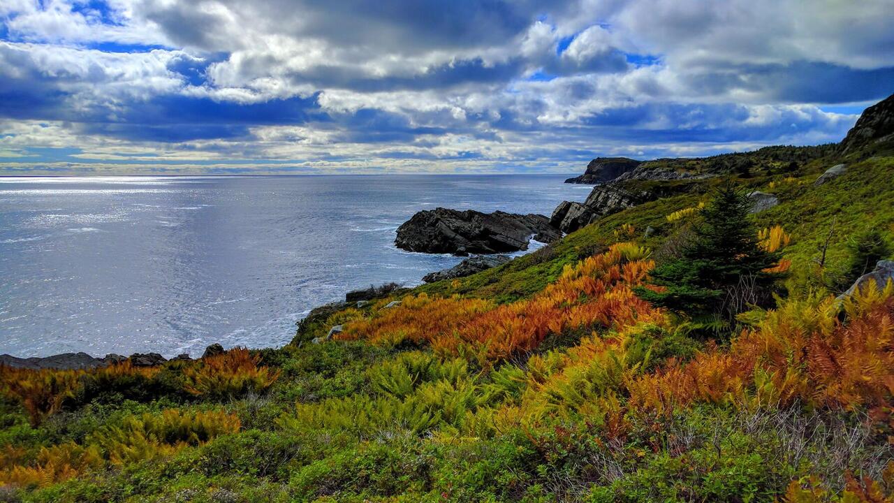 Holding a Family Drug Intervention: A Comprehensive Guide