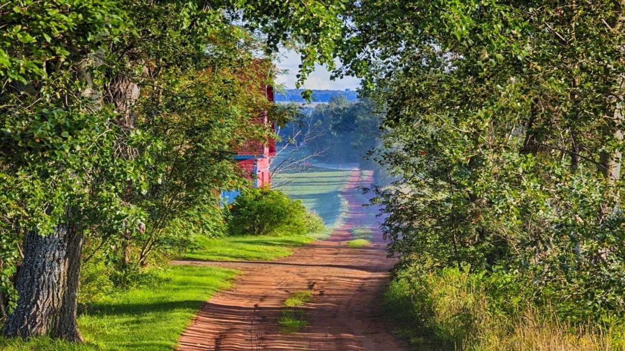 Understanding Addiction Services in Alberta: A Comprehensive Overview
