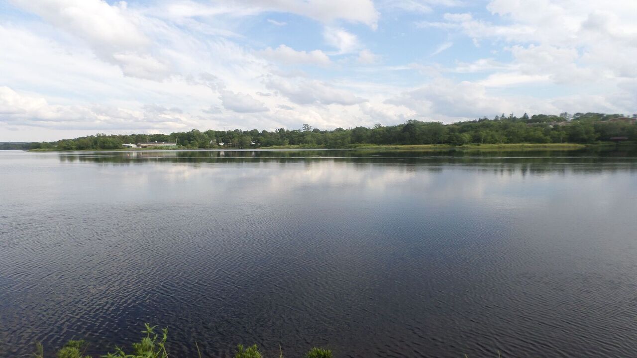 Steps for a Stress-Free Initial Recovery: A Comprehensive Guide