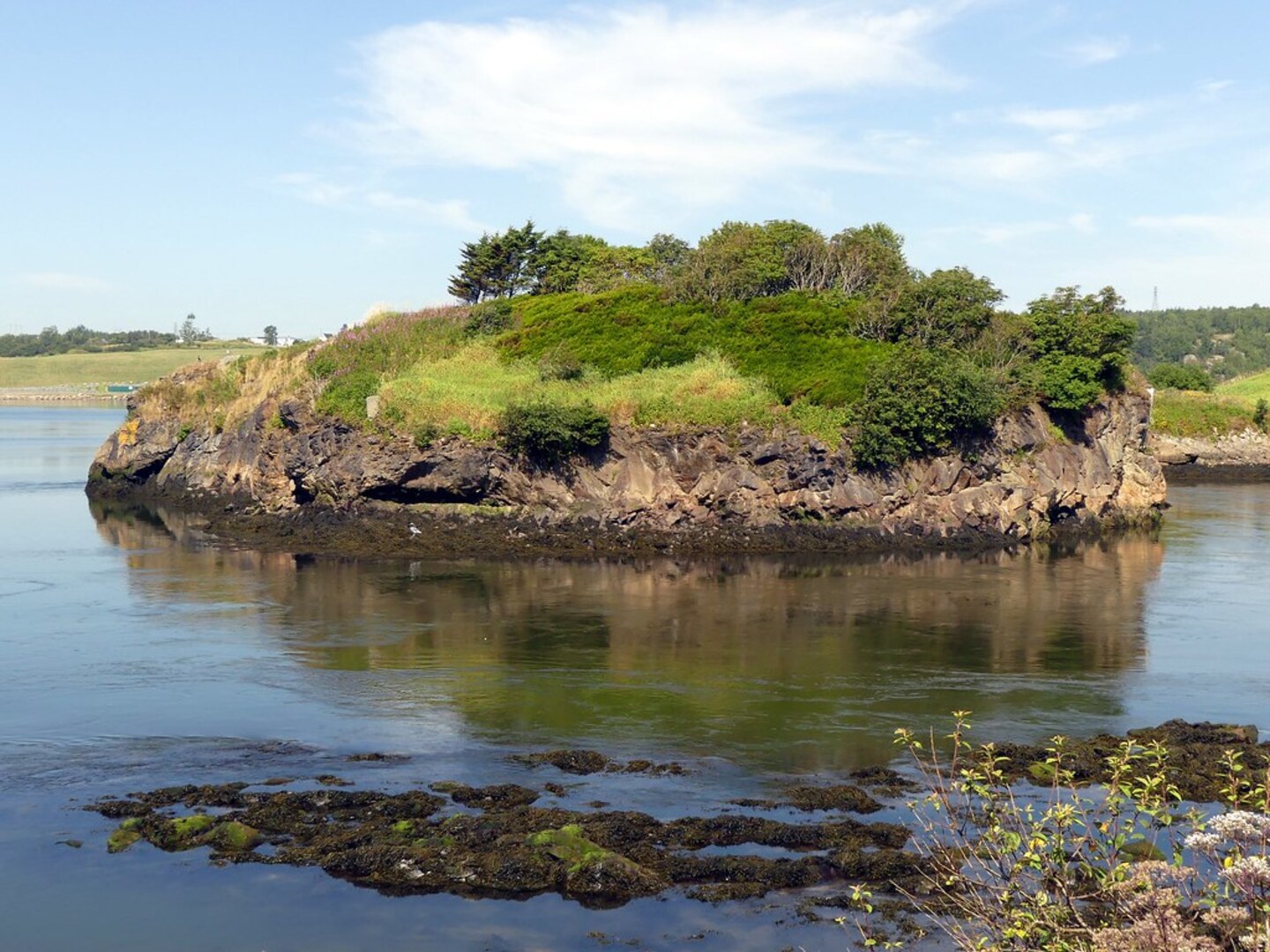 Rogersville Rehab Facility Overview