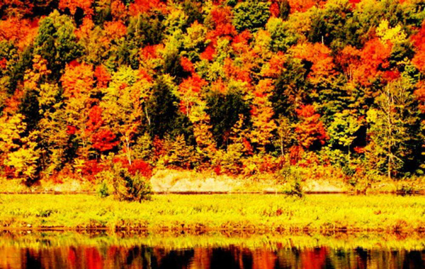 Campbellton Rehab Facility Overview