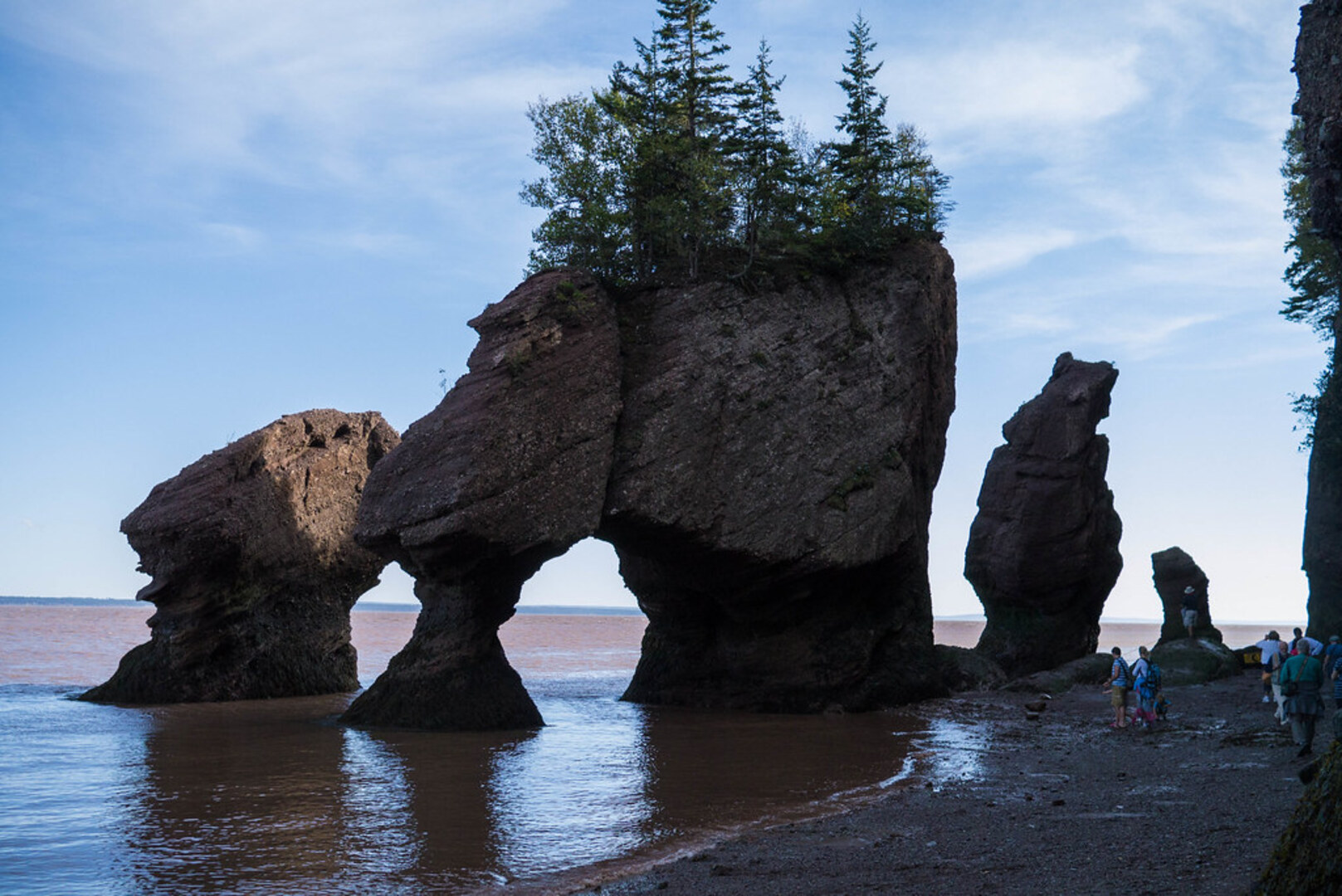 Hillsborough Rehab Facility Overview