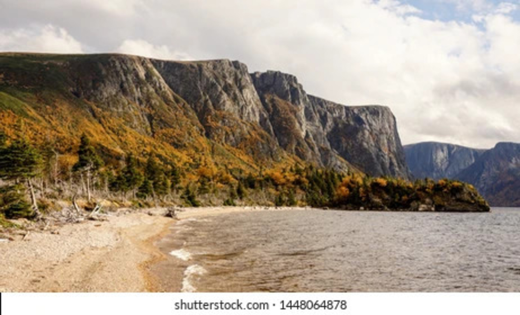 Fortune Rehab Facility Overview