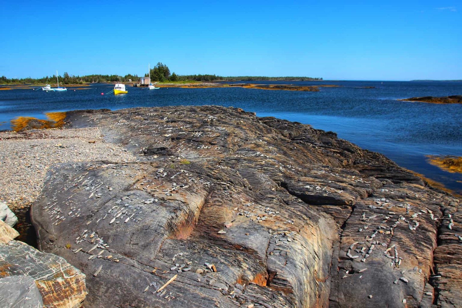 Digby County Rehab Facility Overview