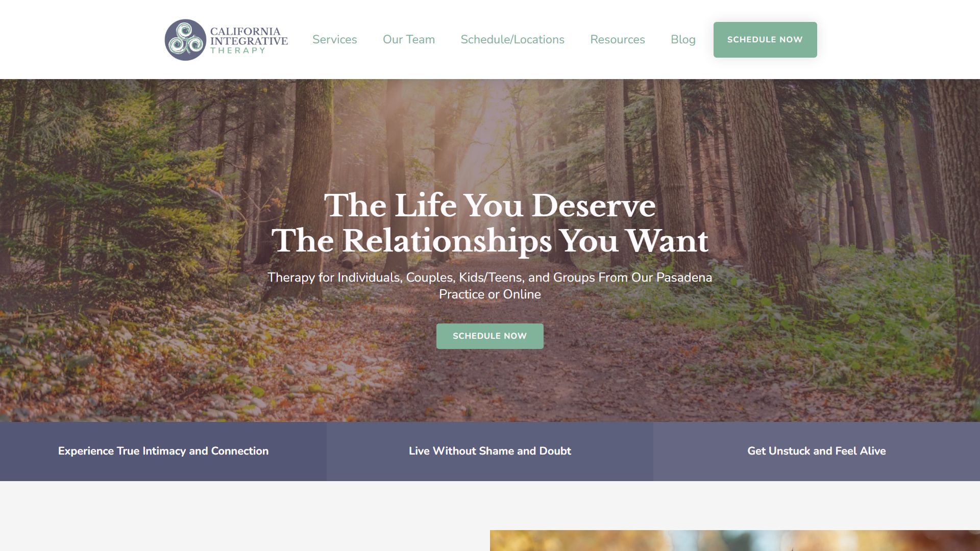 California Integrative Therapy