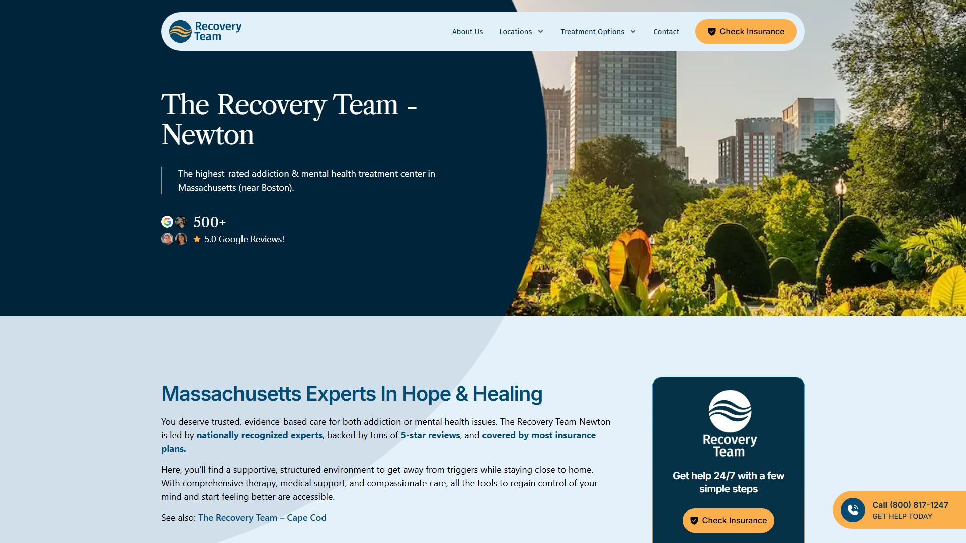 The Recovery Team - Newton