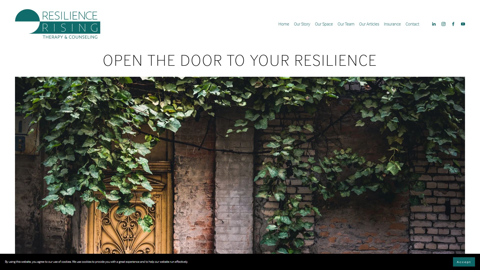 Resilience Rising
