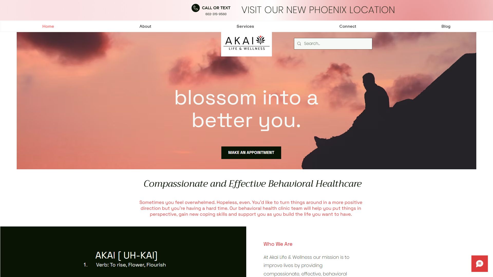 Akai Life and Wellness