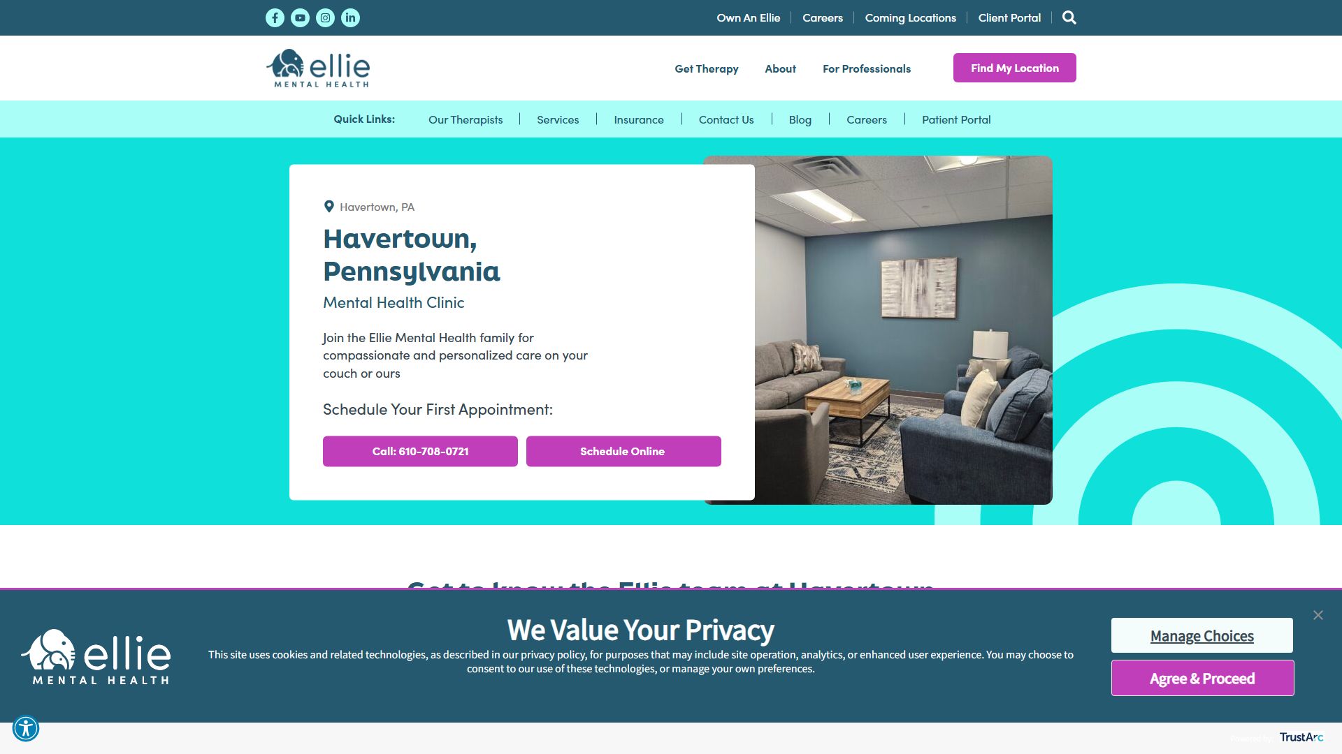Ellie Mental Health Havertown