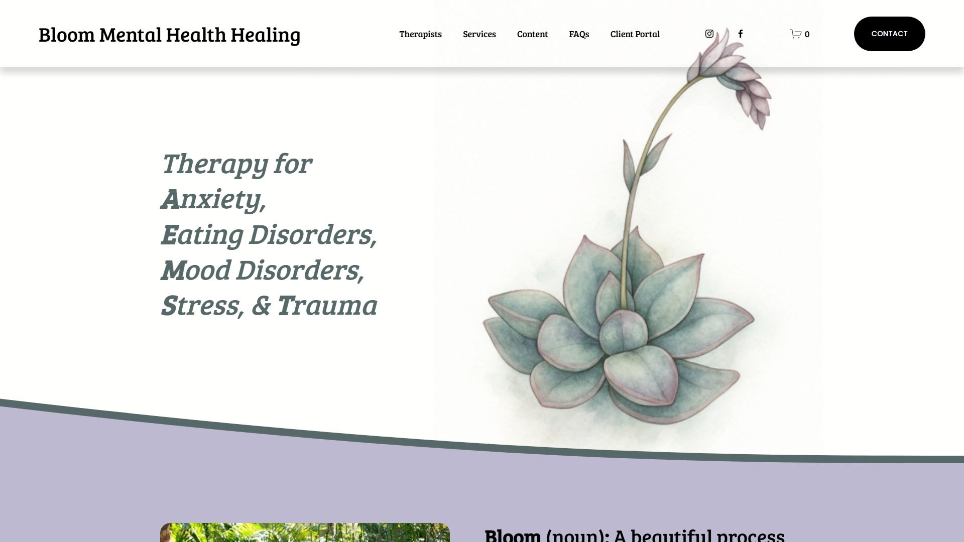 Bloom Mental Health Healing