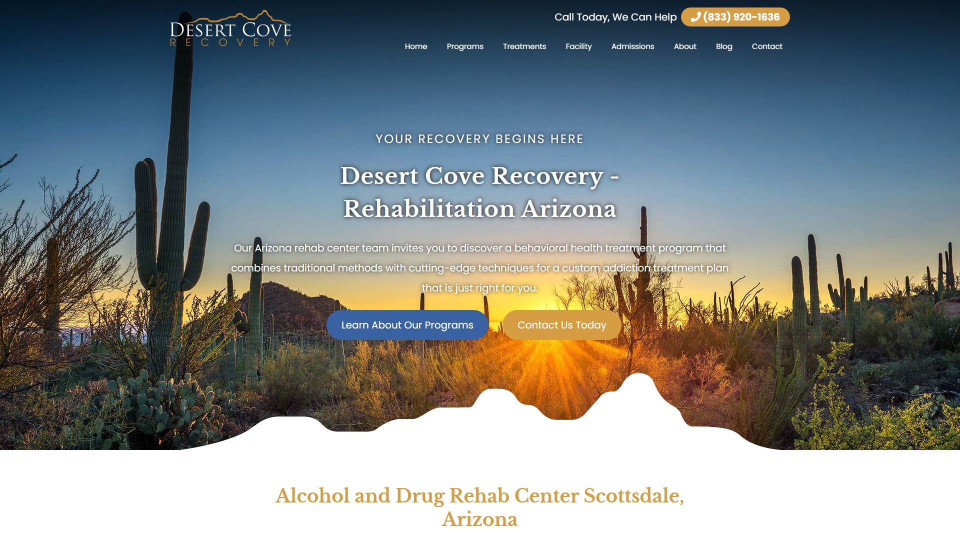 Desert Cove Recovery