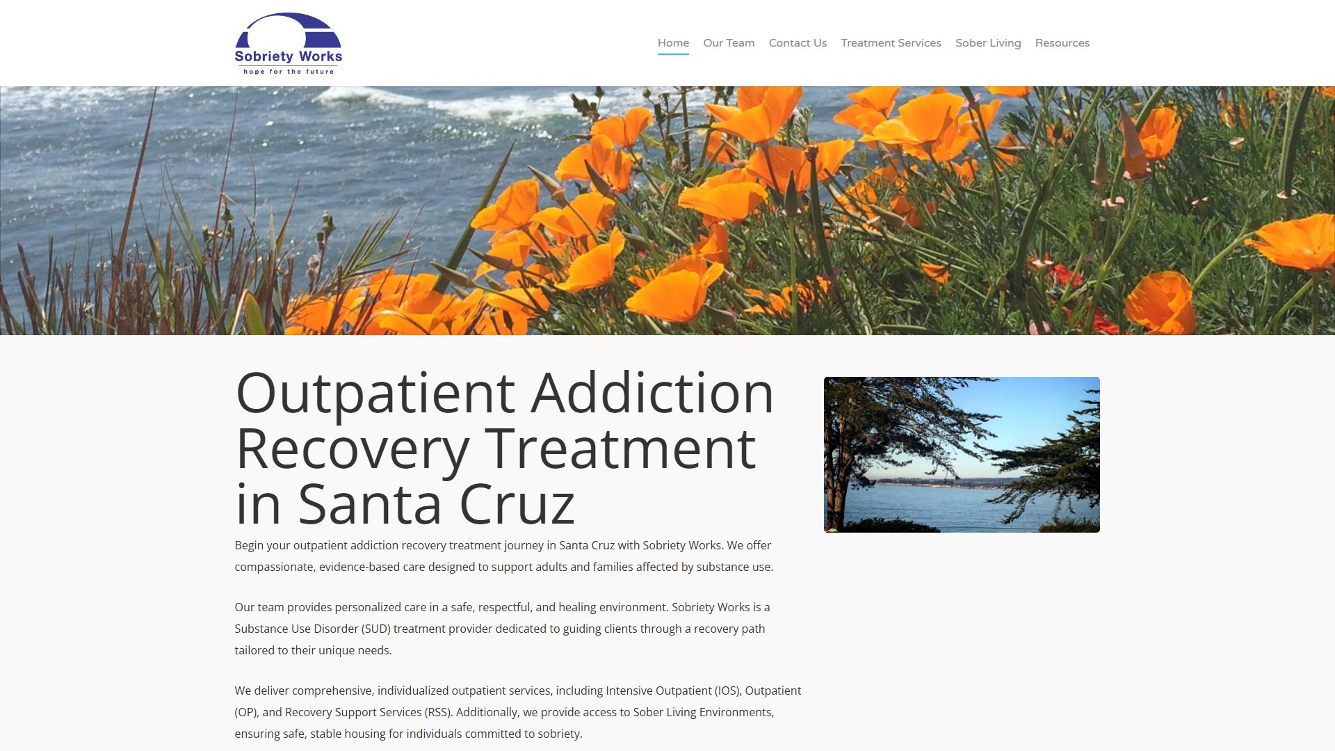 Sobriety Works