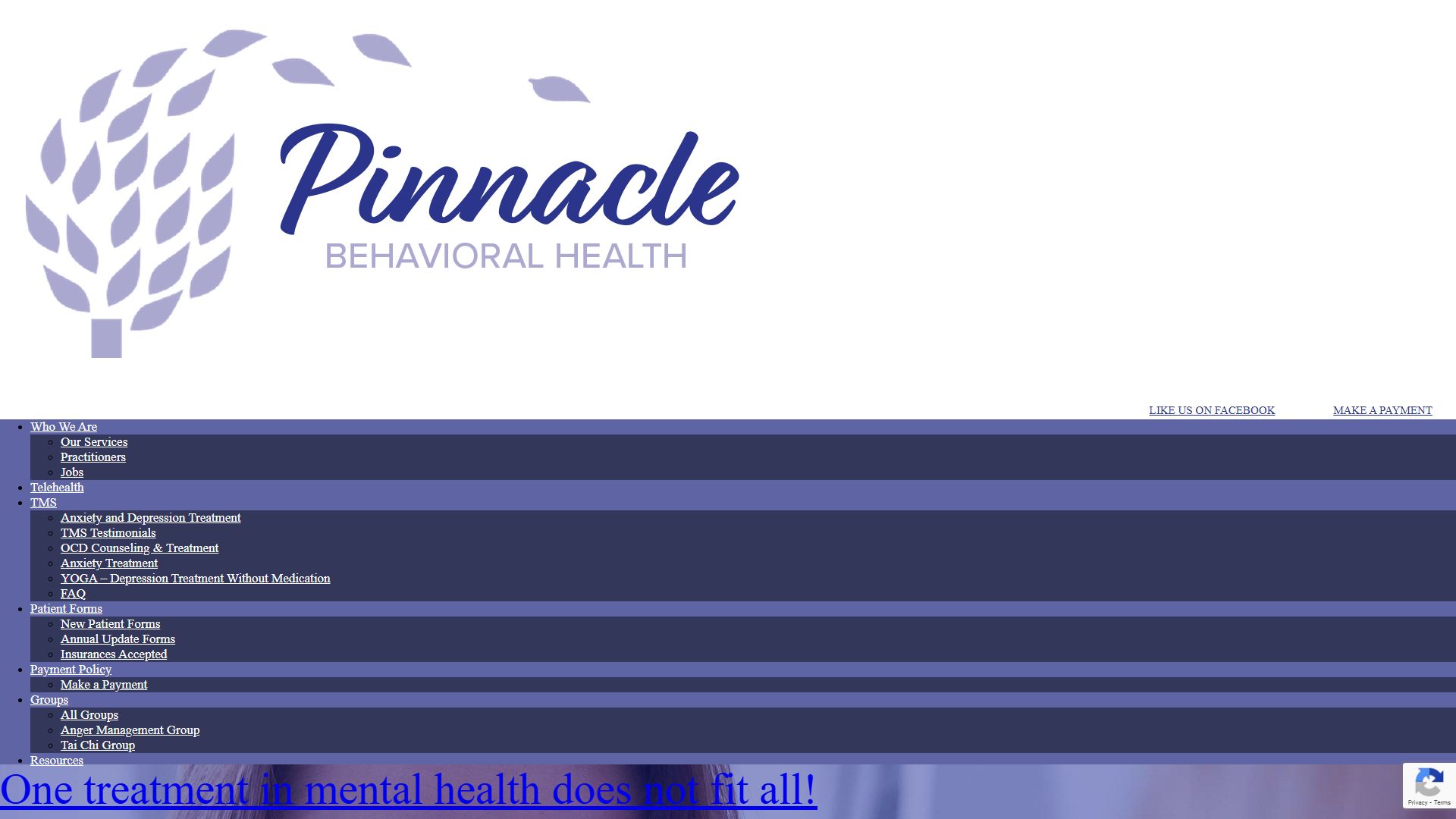 Pinnacle Behavioral Health IPA, LLC
