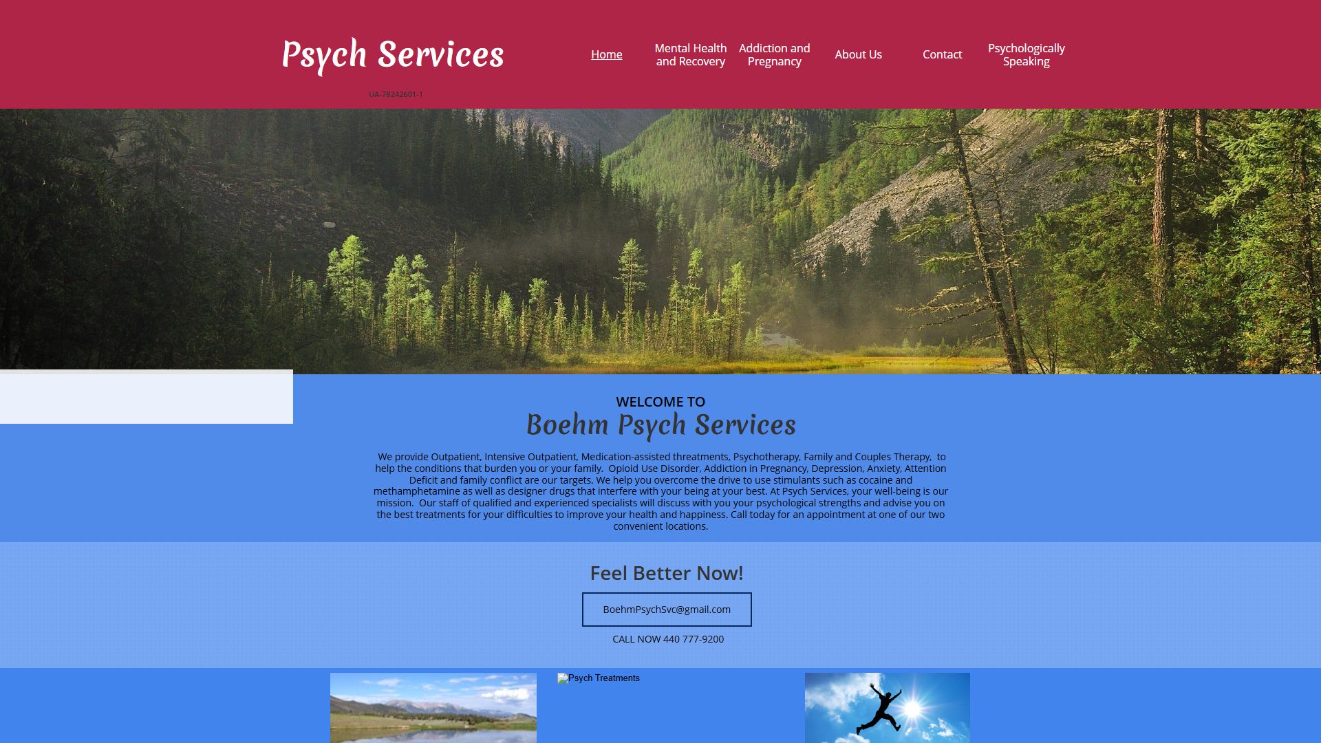 Boehm Psych Services