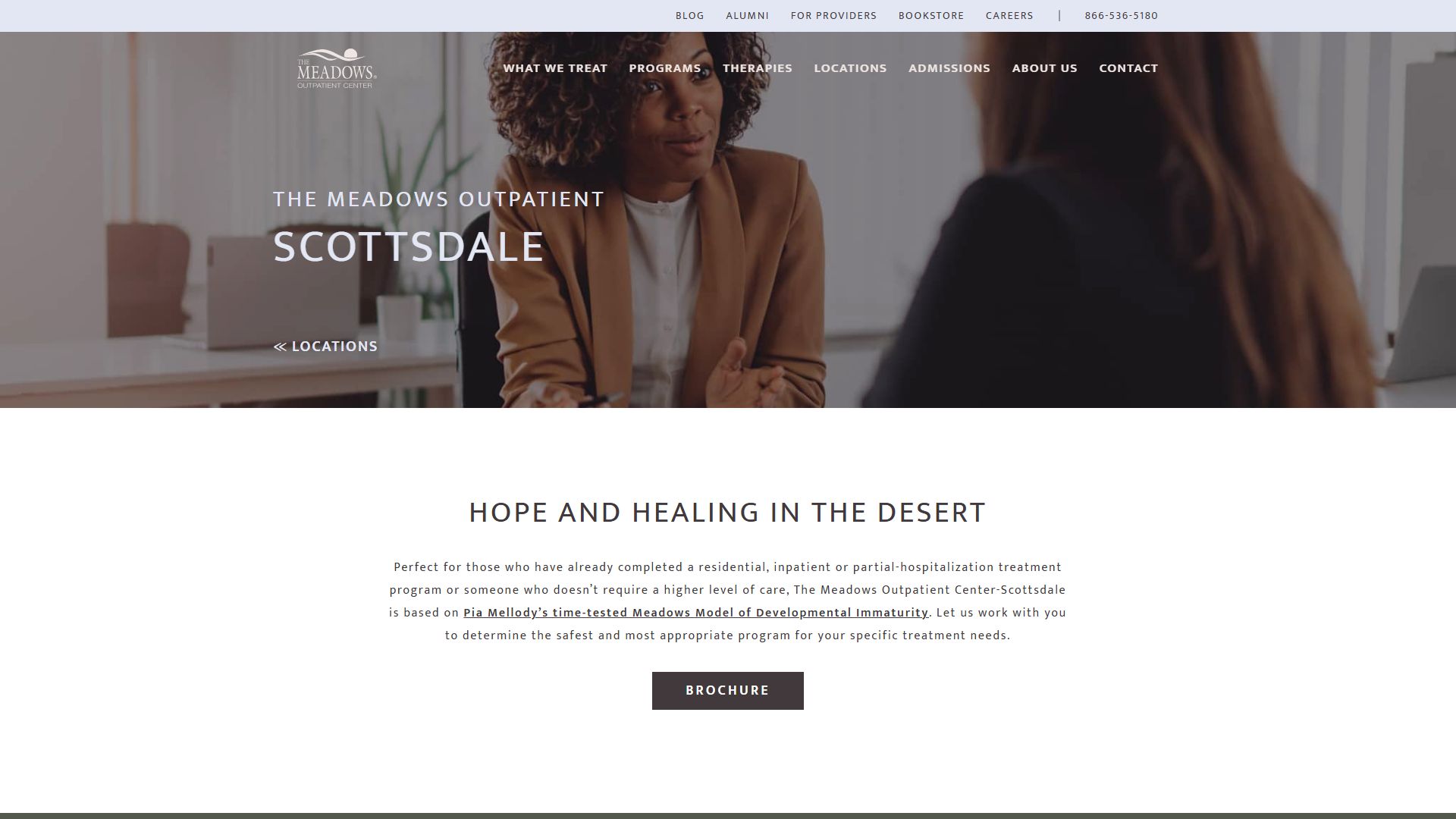 The Meadows Outpatient Center - Scottsdale