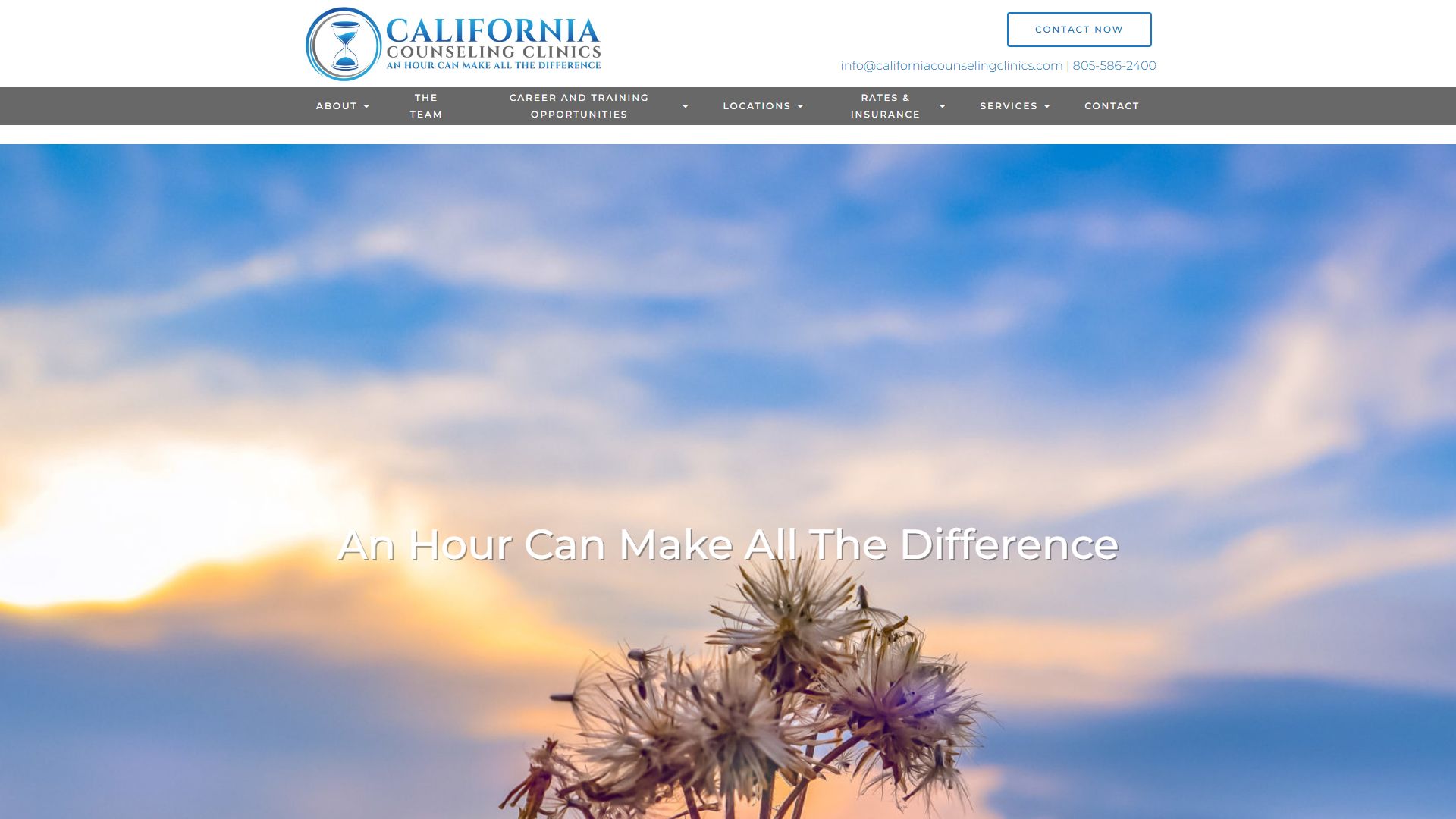 California Counseling Clinics